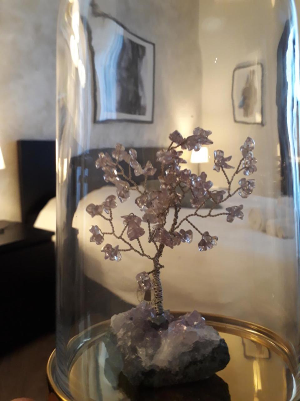 Etnea Street Apartment كاتانيا المظهر الخارجي الصورة